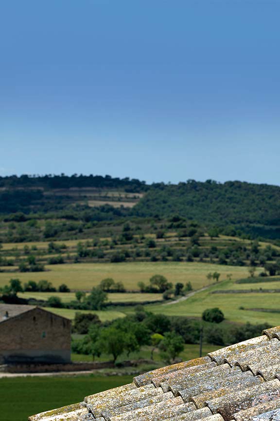 hostal-palouet-de-segarra-surroundings